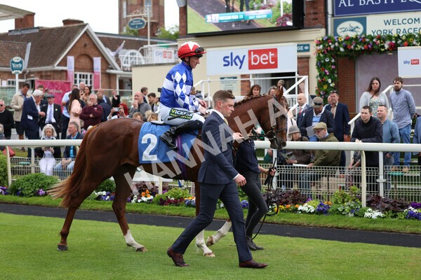 yr22052022r2-1 - Race 2: 4:00pm Sky Bet Sunday Series EBF Novice Stakes