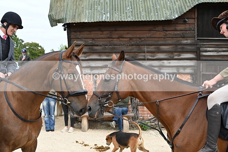 WJ6_3536 - Berks & Bucks - The Old farmhouse - Hound Exercise 20-08-25