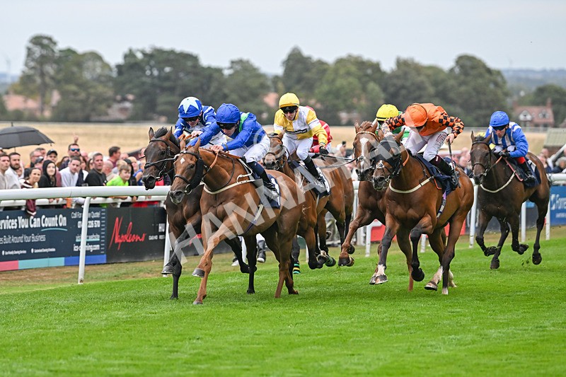 300825-Race 7-Urban Sprawl-2133 - Race 7