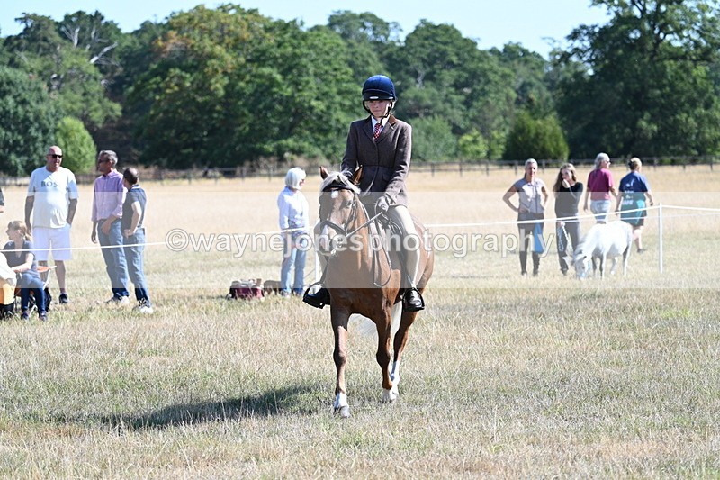 WJ7_4006 - Class 9 Mountain & Moorland Ridden