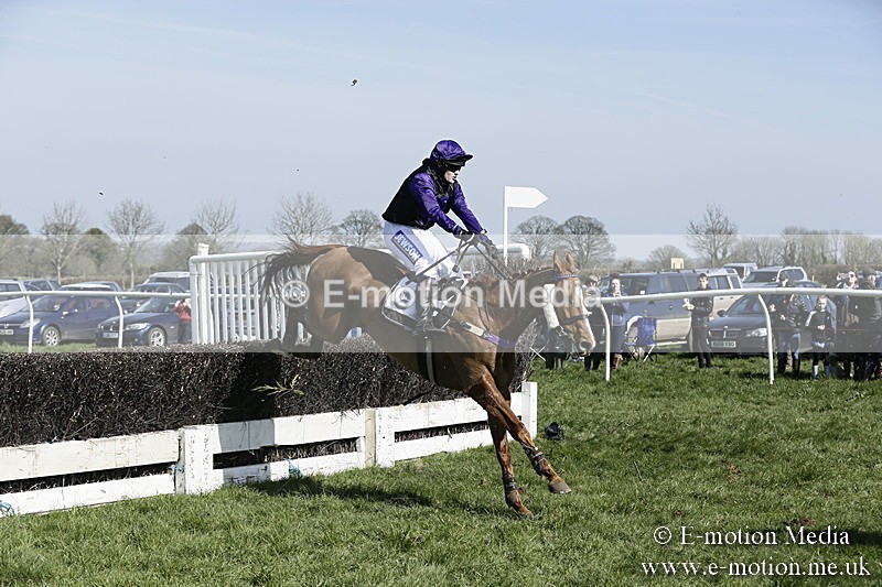 PtP 260317 86 - Mendip Farmers Point-to-Point Ston Easton 26/03/17