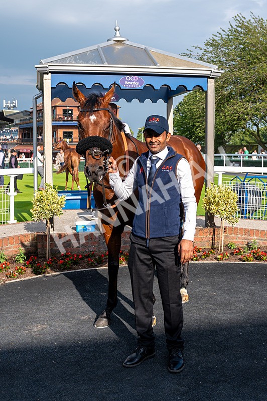 170625-Race 1-Command The Stars-9939 - Race 1