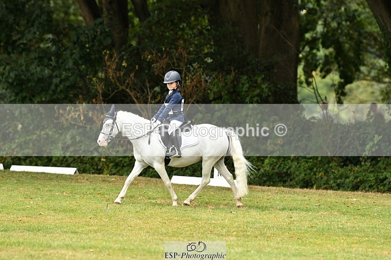 250820A-114250-05229 - 11am to 12