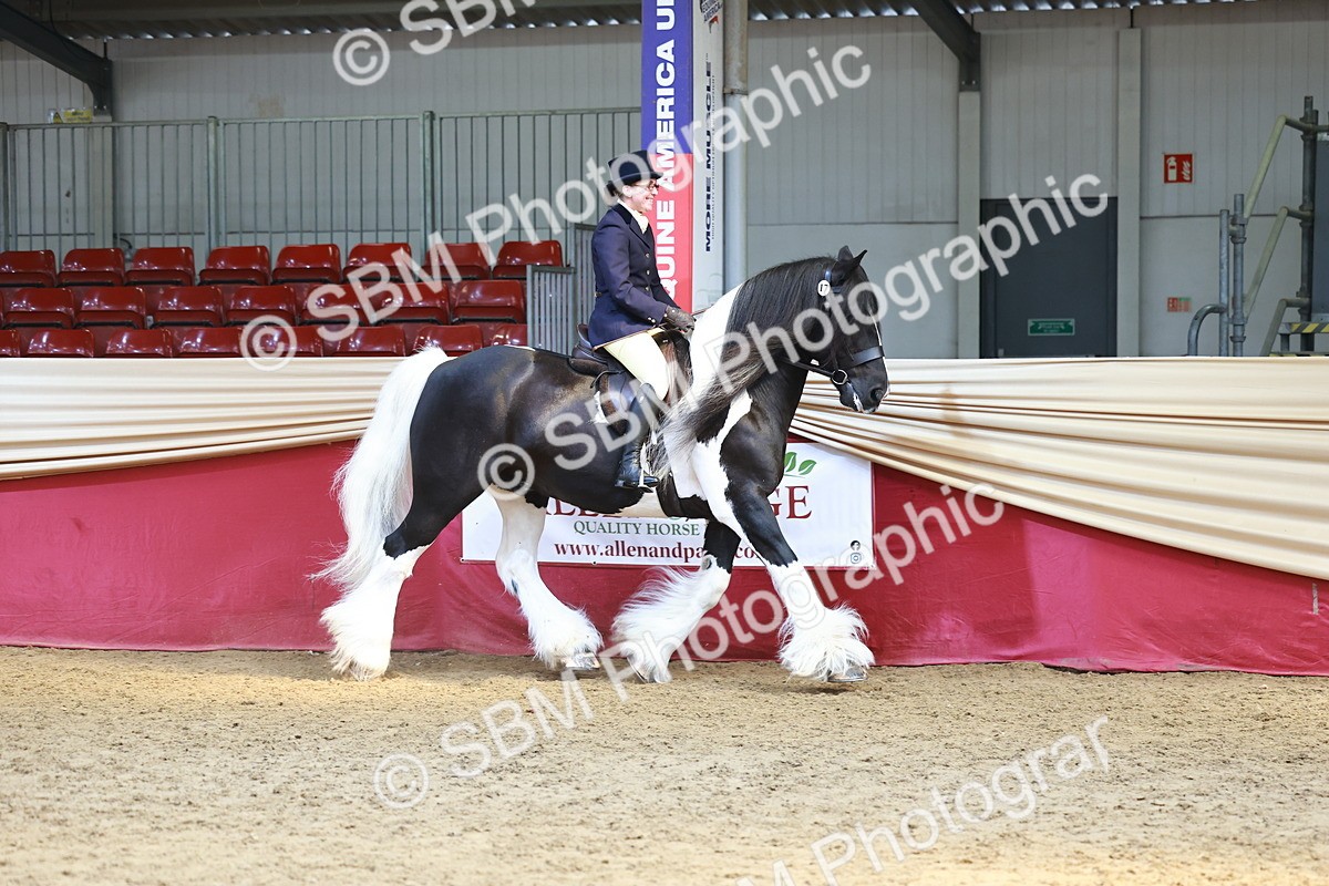 SBM_23300 - class 906 - Supreme Final - Ridden Pre Vet