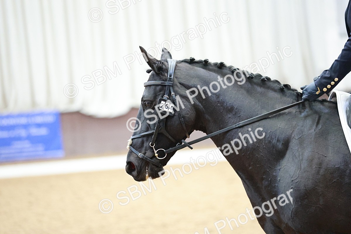 SBM_003914 - Class 2 - Novice 2020