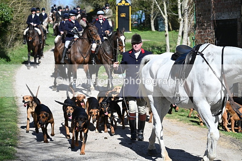 WJ7_9666 - Home for hunt tea !