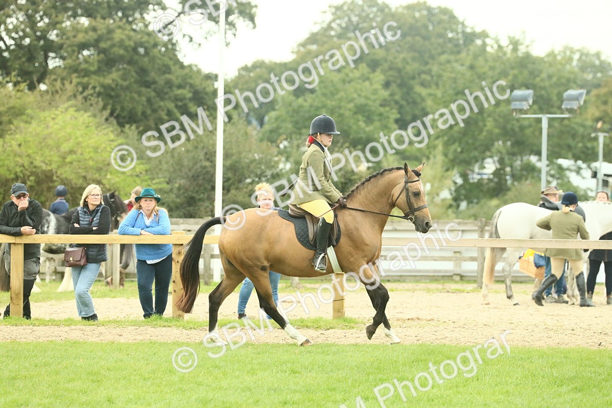 SBM_73963 - S 61 - Show Pony & Show Hunter Pony Ridden