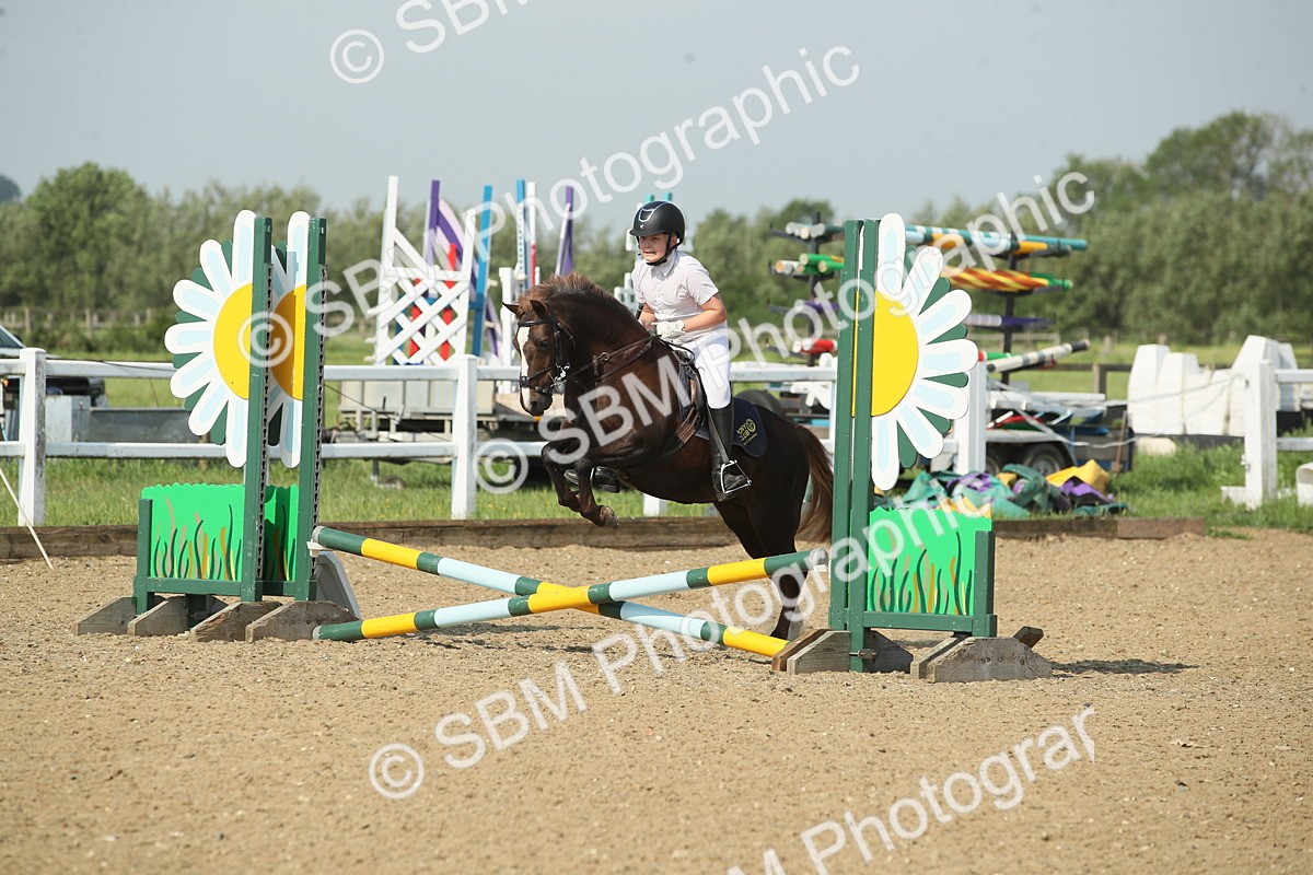 SBM_010731 - 50cm