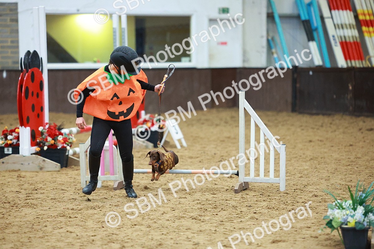 SBM_002202 - Class 3 - Horse & Hound (60cm)