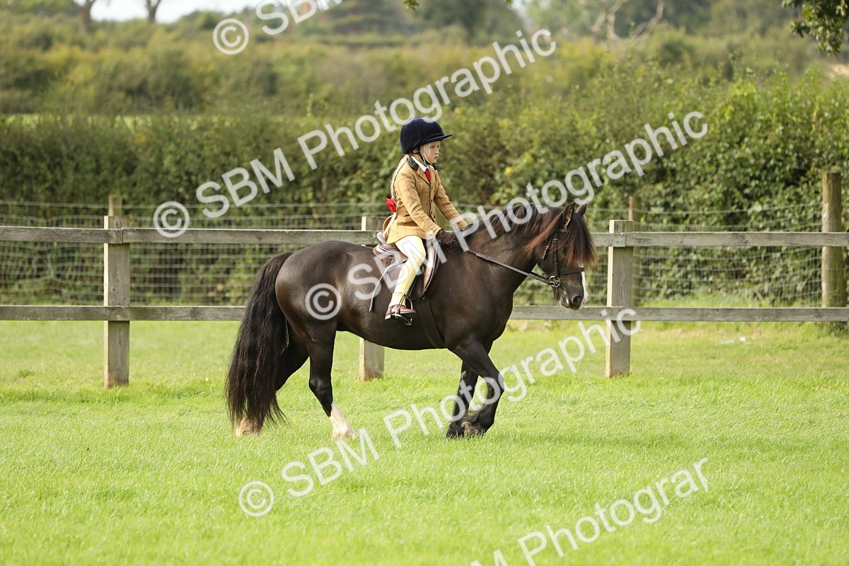 SBM_71462 - S41 - Ridden Equitation (Best Rider)