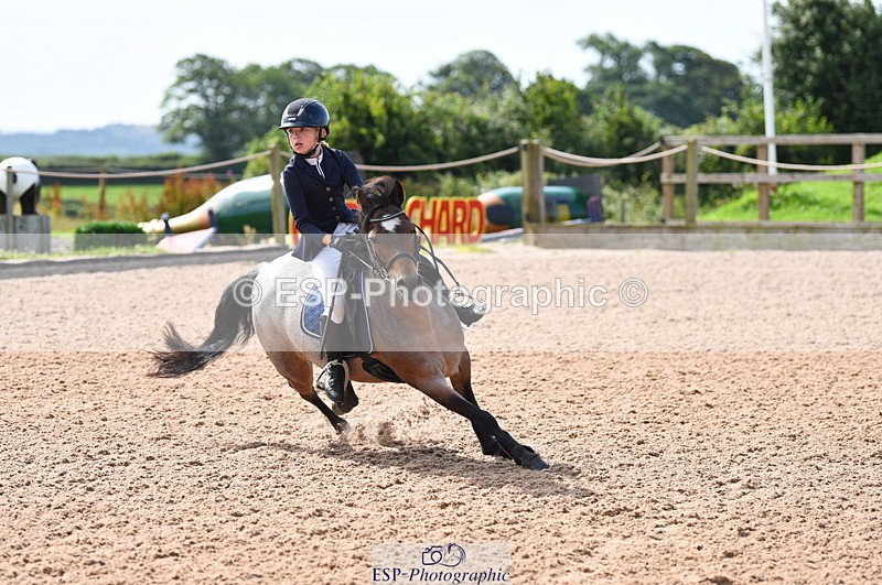 230716A-100348-01945 - Cls 35 Springboard 128cm & 138cm