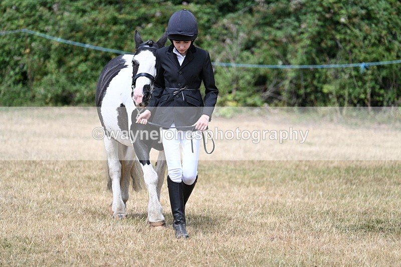 WJ7_1694 - Class 4 Prettiest Mare up to 14.2hh in hand