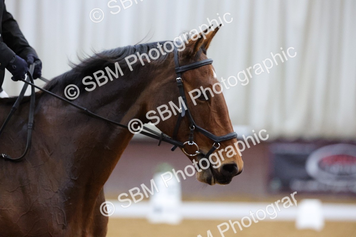 SBM_001016 - Novice