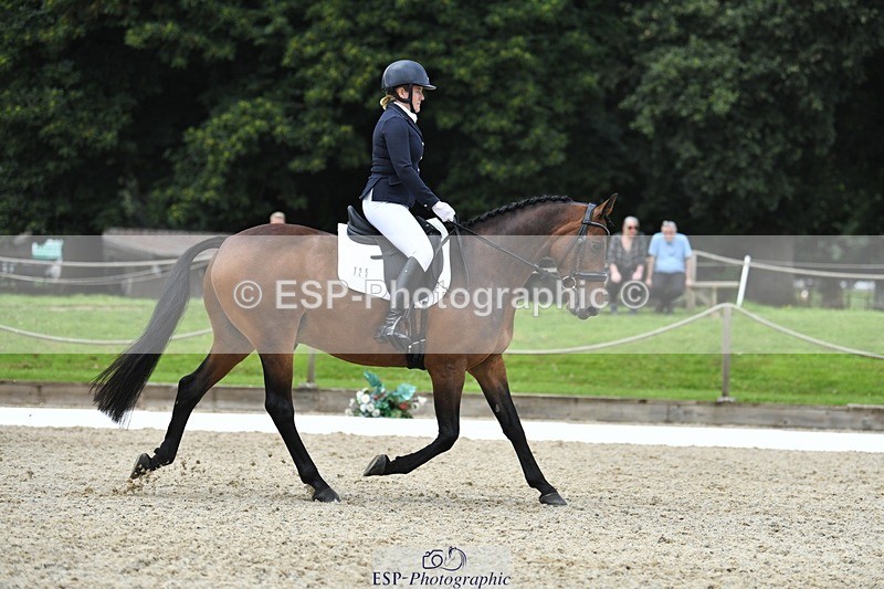 230812-125733-04246 - Cls 6 Novice Silver 12.10 to End