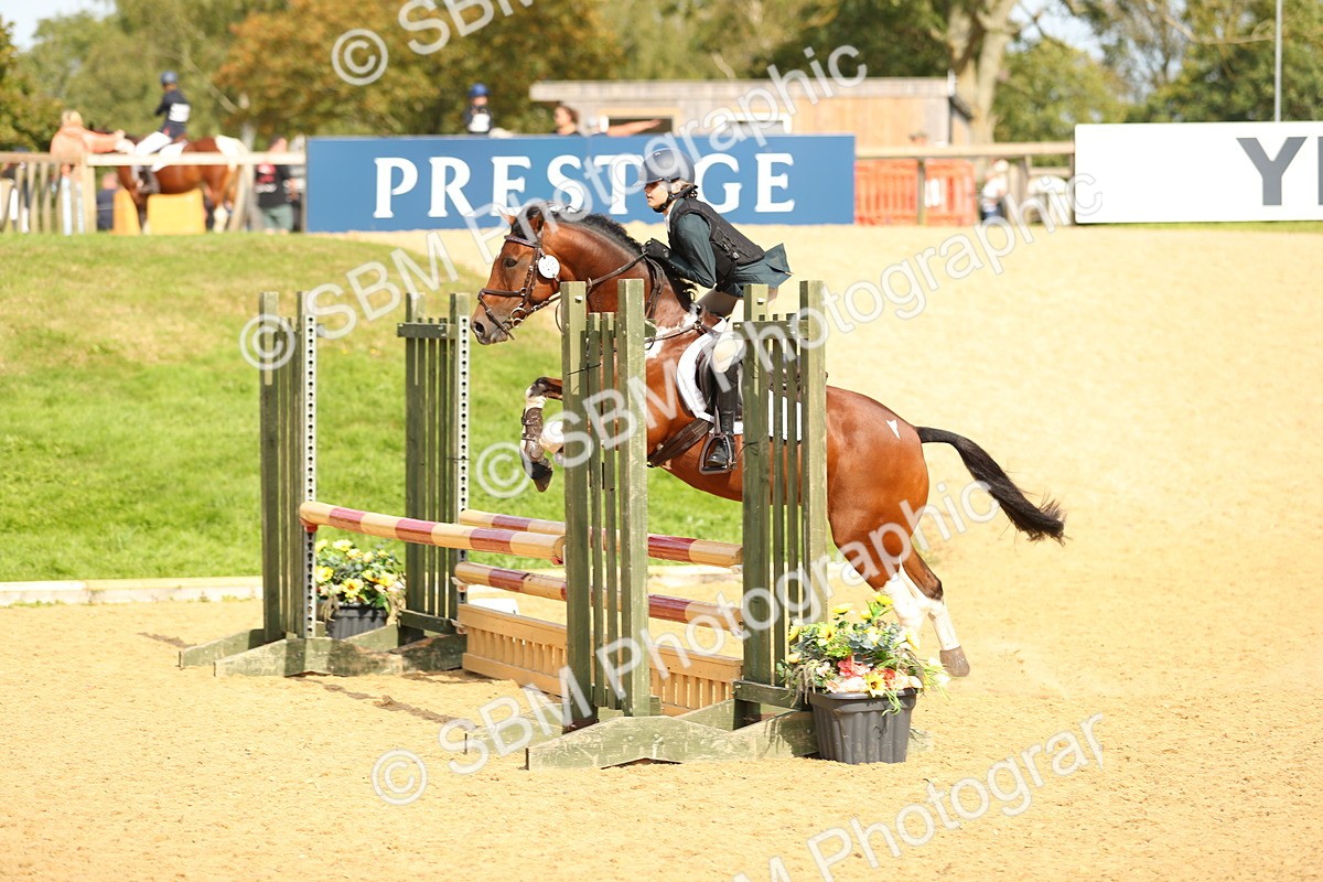 SBM_67369 - J17 - Junior Pony 80cm Championship
