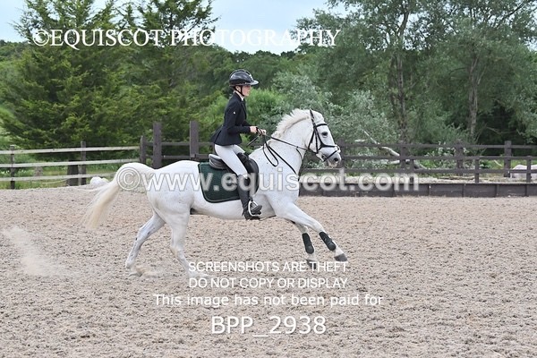 BPP_2938 - CLASS 7 Pony Discovery / 90cm Open