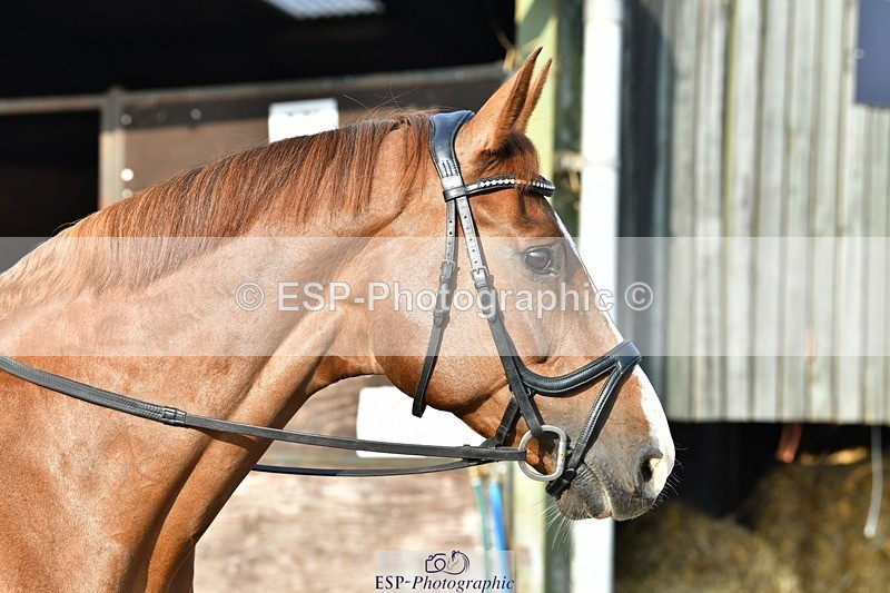 230817-083513-02421 - Stable Shots