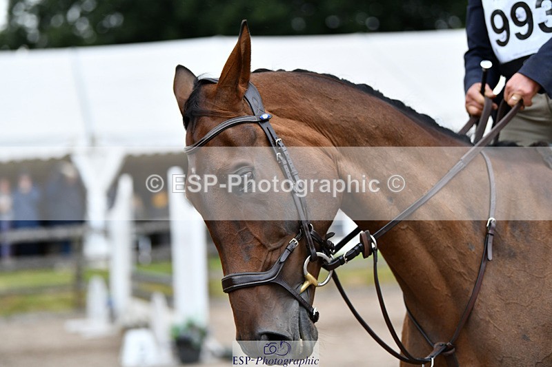 240825X-173602-37077 - 80cm SJ 16.00 to 17.26