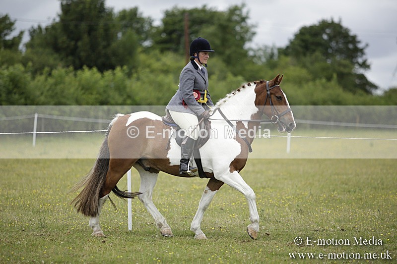 BVR160717-2092 - Ridden Championship 16/07/17