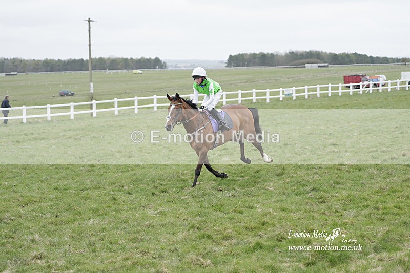 PtP 260323 1130 - New Forest Hounds Point-to-Point Larkhill 26/03/23
