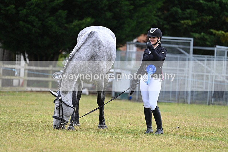 WJ7_6390 - Class 4a Prettiest Mare over 14hh