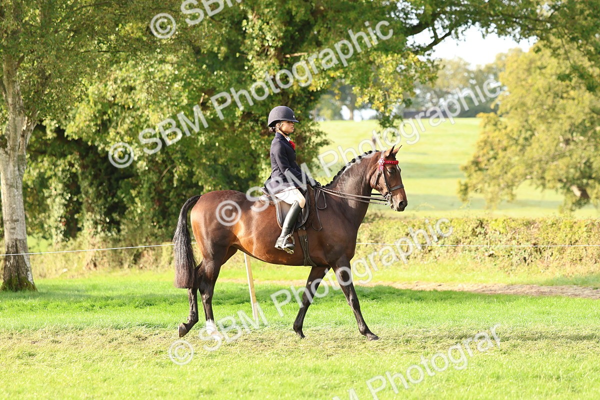 SBM_56526 - S40 - Starters Ridden Showing
