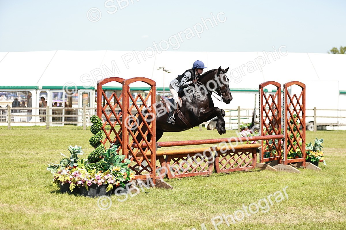 SBM_17357 - Class 110-111 - Training Stakes (70cms 80cms)
