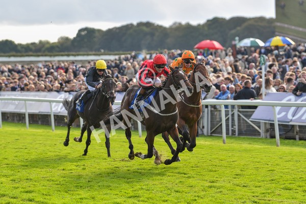 141023-Race 4-Colorada Dancer-1184 - Race 4 3.05pm Coral Racing Club EBF Maiden Stakes