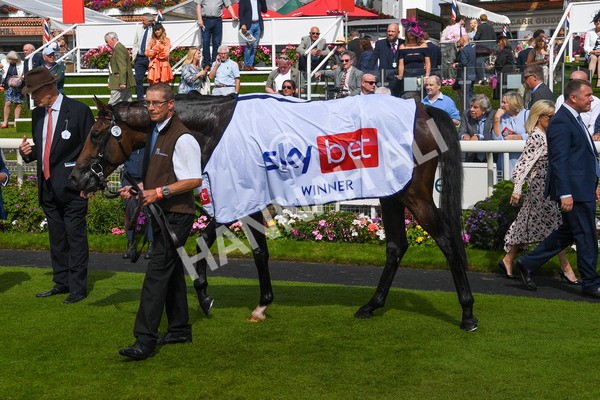 260823-Race 2-Middle Earth-0145 - Race 2 Sky Bet Melrose Handicap