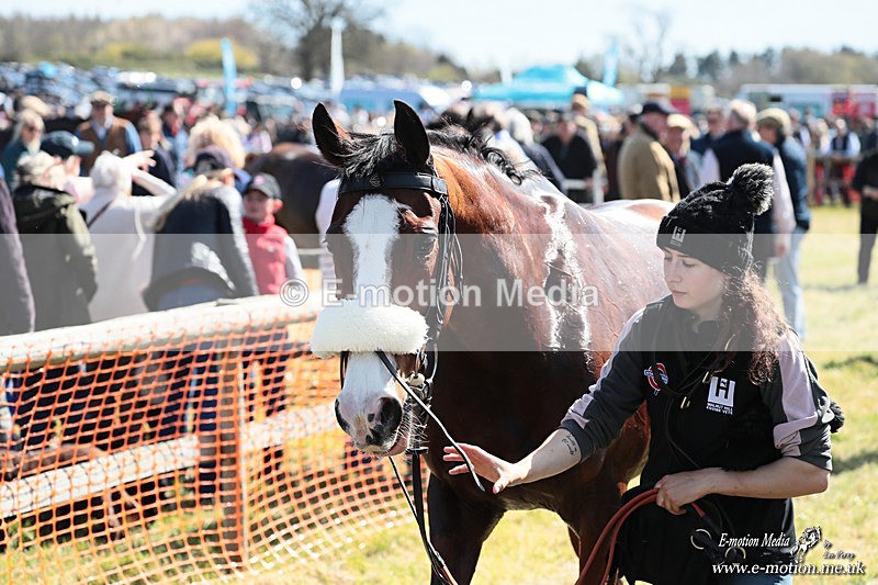 PtP 060426 266 - Paxford Races North Cotswold Easter Mon 06/04/26