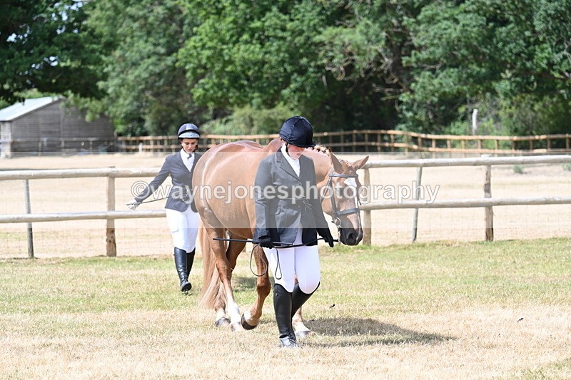 WJ7_1795 - Class 4a Prettiest Mare 14.2hh and over hand