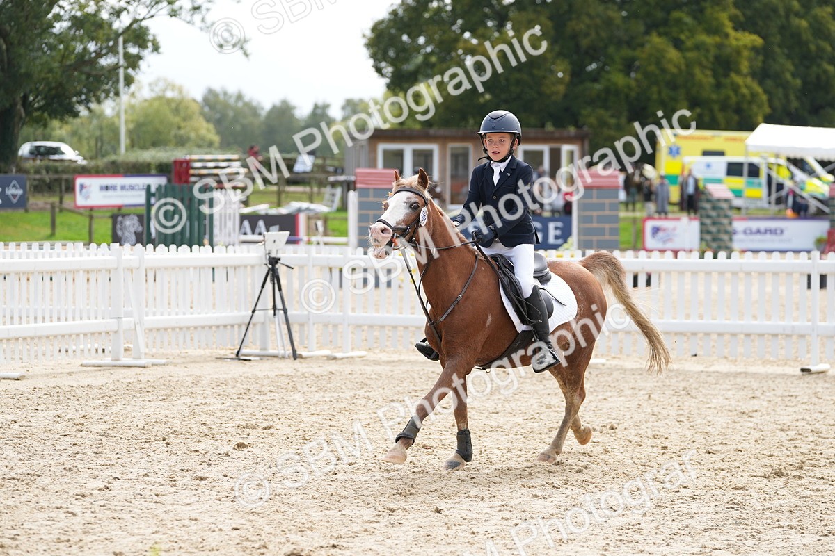 SBM_40100 - J6 - Junior Pony 55cm Championship