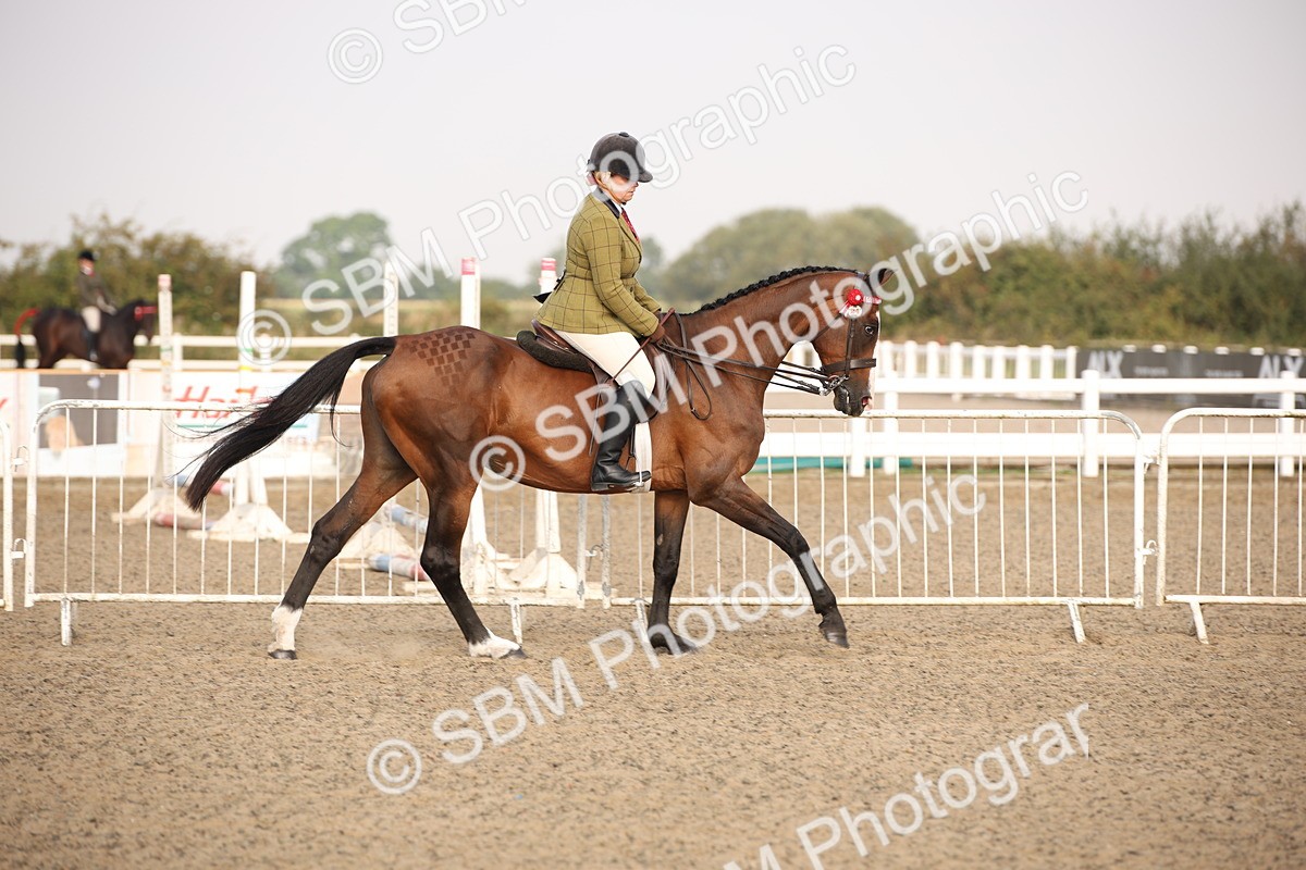 SBM_10257 - Class 402 Riding Club Horse