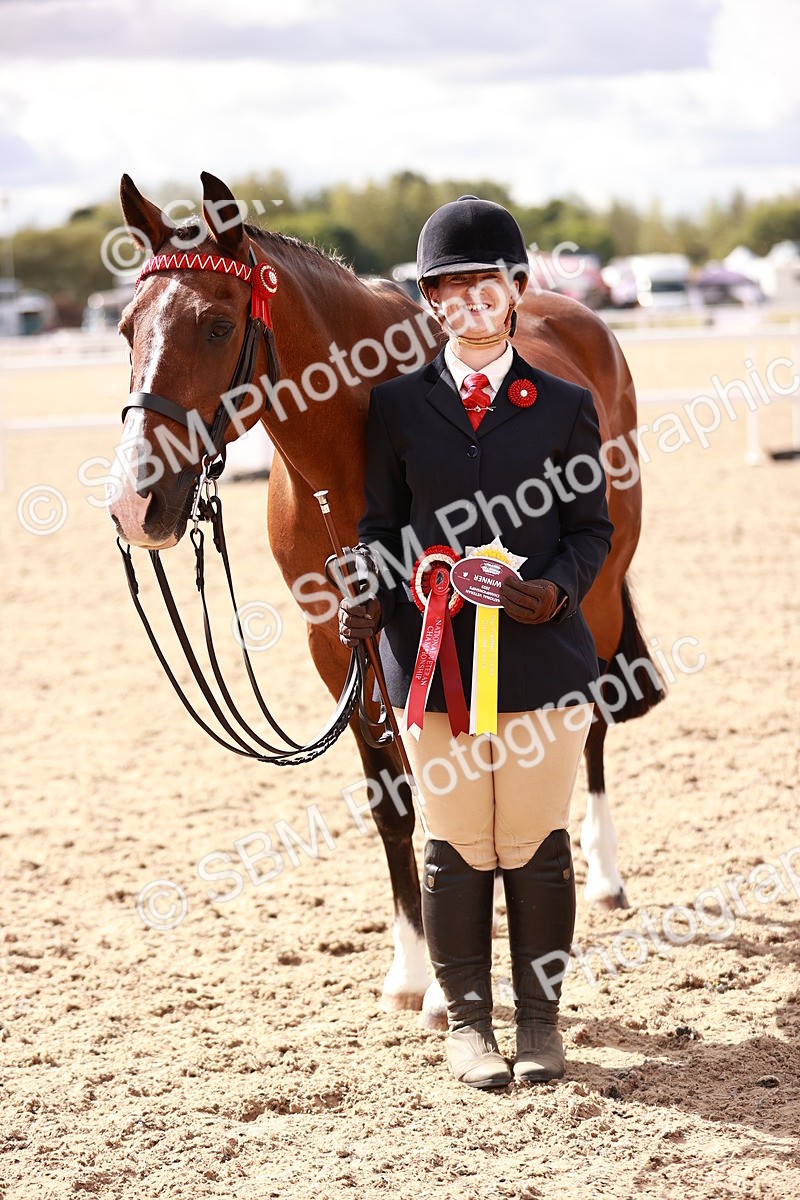 SBM_14232 - Class 407 - IH Hack Riding Horse