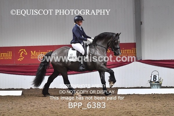 BPP_6383 - 37 Ellis Simister