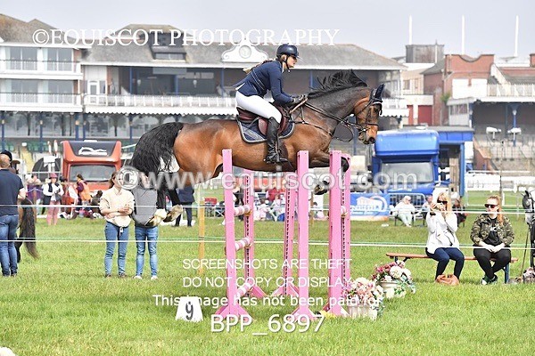 BPP_6897 - CLASS 3 RHS Fox Champ Qual (1.20m)