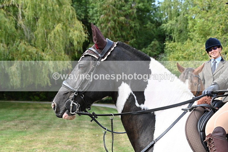 WJ6_3251 - Berks & Bucks - The Old farmhouse - Hound Exercise 20-08-25