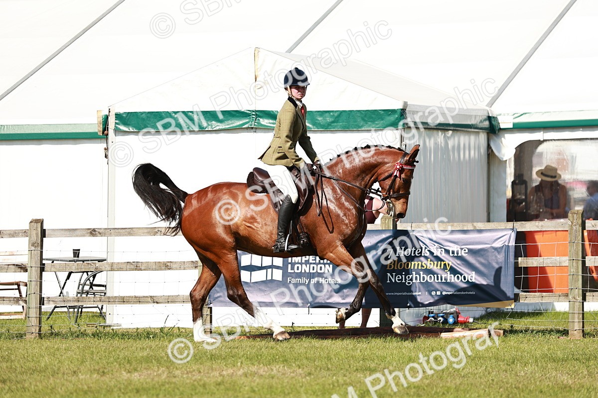 SBM_18886 - Class 114 - RIHS & SEIB Open Working Show Horse