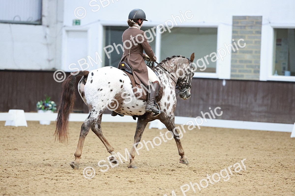 SBM_016560 - Class 5 - FEI INT II - 17.24-18.20