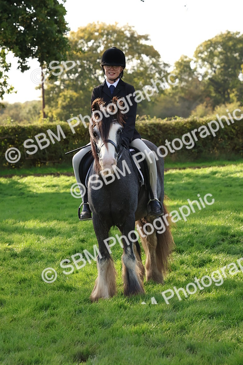 SBM_52612 - S13 - Pony Club Pony