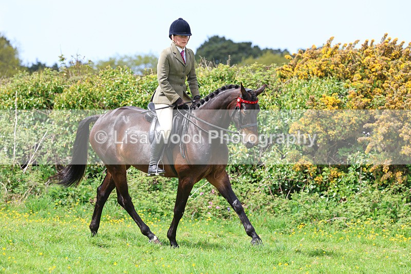 3E7A2022 - Class 10: Ridden Sports Horse