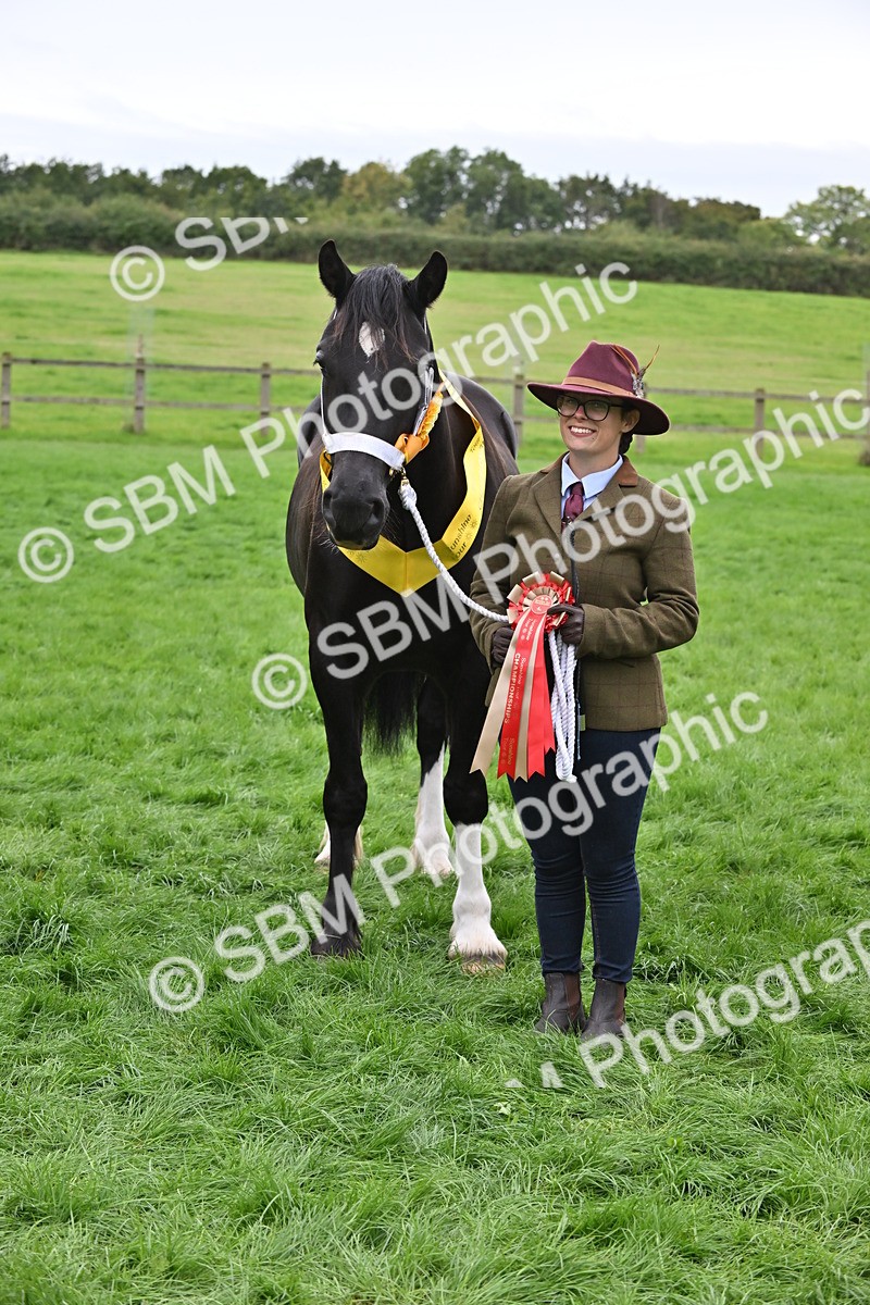 SBM_65034 - In Hand Pony & Younstock Supreme Championship