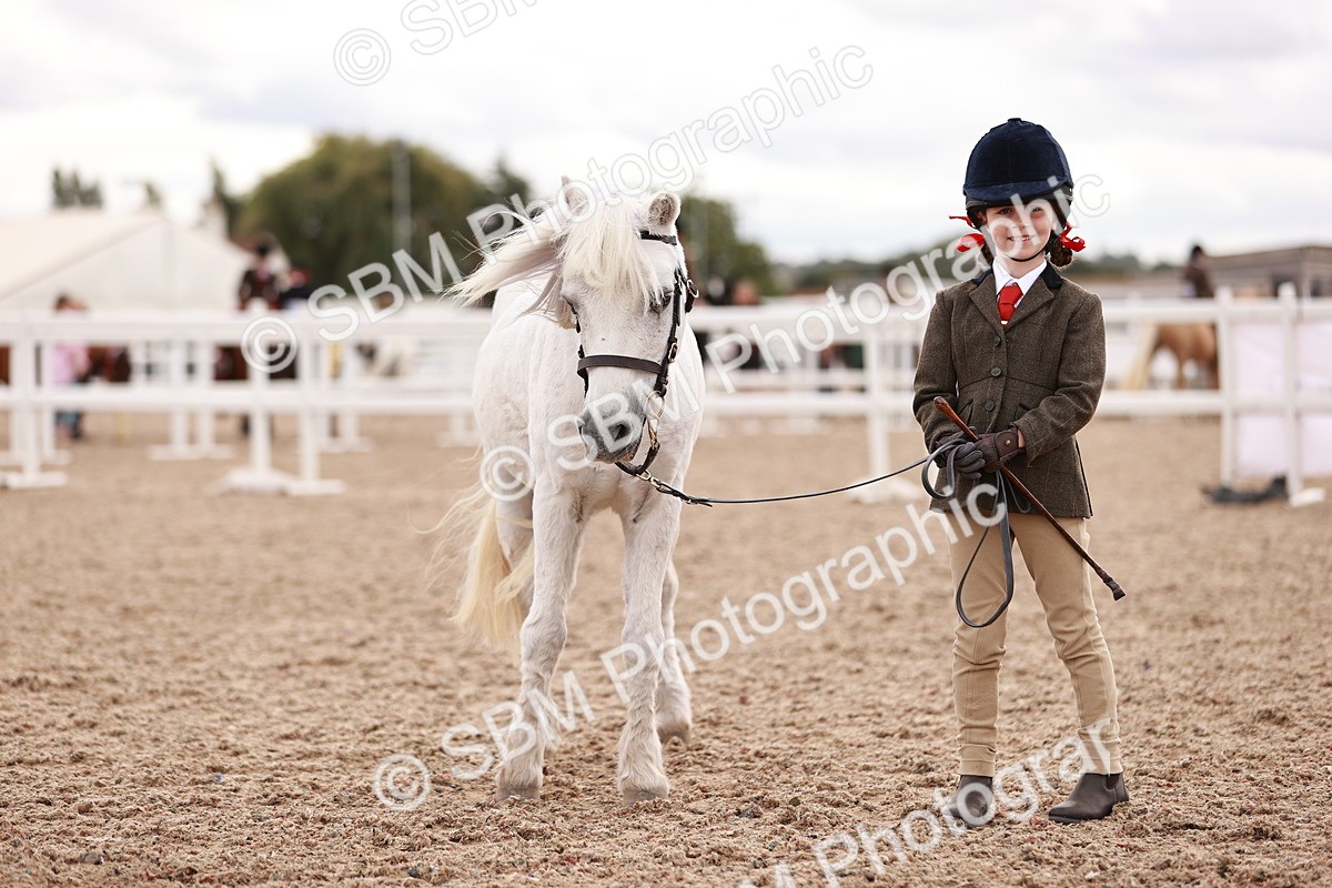 SBM_18434 - Class 419 - Best Maine and Tail - Jnr