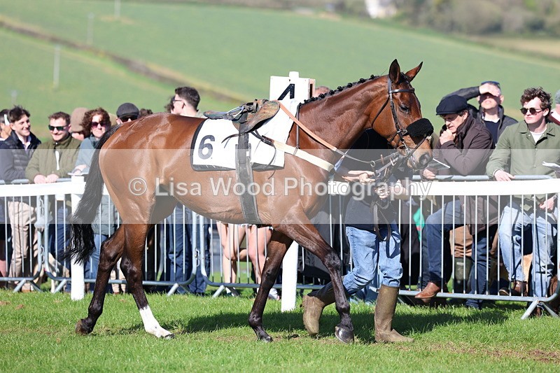 3E7A5577 - Race 6: Maiden (NWFAA)