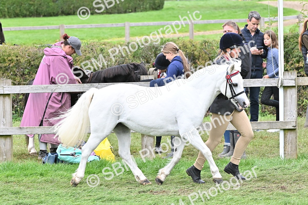 SBM_68529 - S42 - Junior Handler 9-12 Years