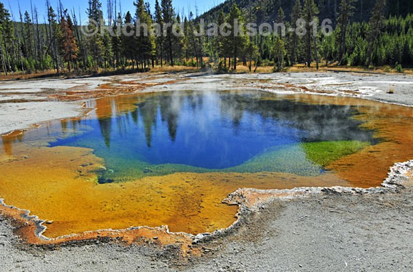 Pretty, but Deadly - Yellowstone National Park