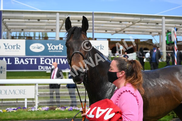 - Race 3 2.40pm The Matchbook Betting Podcast Hambleton Stakes