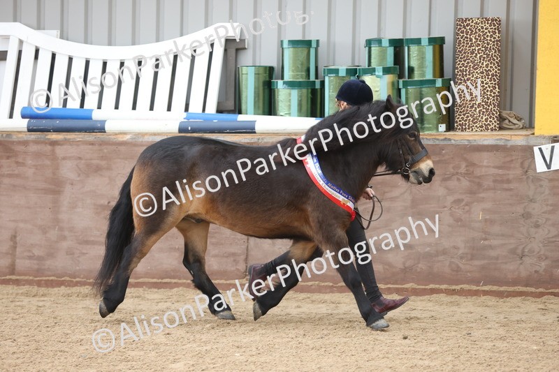 20251109-0709 - Championship