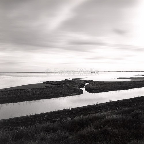 Tranquil Waters, Breydon - Limited Editions