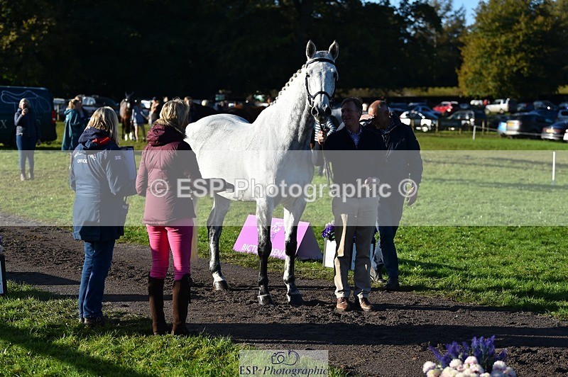 231022-094758-22034 - 463-HOLOGRAM.SCAIS-Chris.Brentnall-TrotUp+SJ